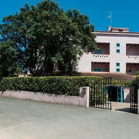 Scintilla 3*
